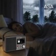 Albrecht DR 862 Portable Digital Grey, Wood