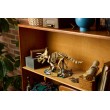 LEGO JURASSIC WORLD 77985 Dinosaur Fossils: Triceratops