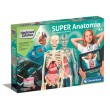 Clementoni Set Super Anatomy
