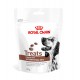 ROYAL CANIN Dog Gastrointestinal Treats VHN - dog treat - 230g ROYAL CANIN Dog Gastrointestinal Treats VHN - dog treat - 230g