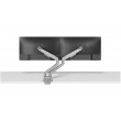 Neomounts DS70-250SL2 Monitor arm 17-32