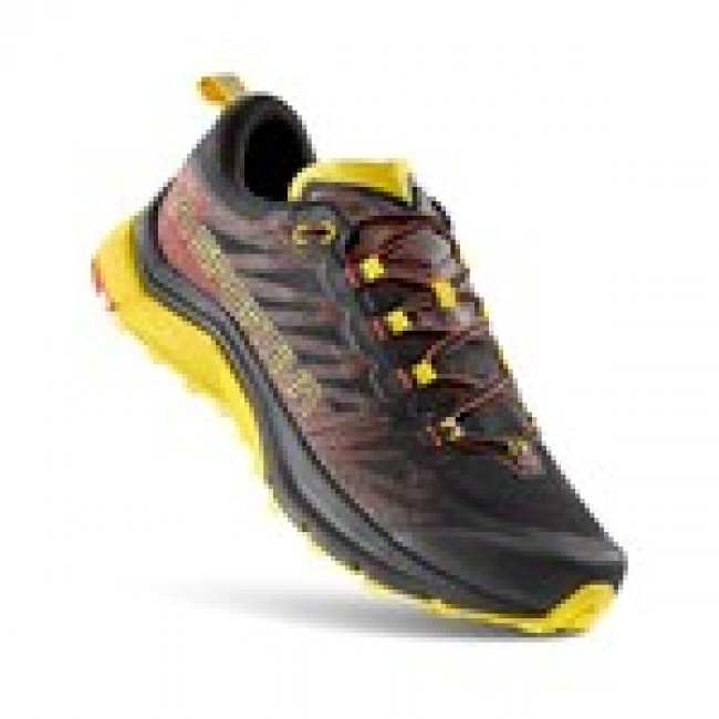 Shoes Jackal II Gtx / Yellow