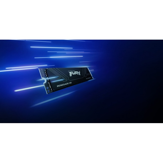 Kingston Technology 4T FURY RENEGADE G5 M.2 2280 NVMe SSD