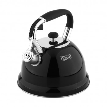 Stainless steel kettle with 3L whistle