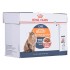 ROYAL CANIN Intense Beauty Wet cat food Chunks in sauce 12x85 g