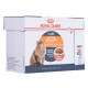 ROYAL CANIN Intense Beauty Wet cat food Chunks in sauce 12x85 g ROYAL CANIN Intense Beauty Wet cat food Chunks in sauce 12x85 g
