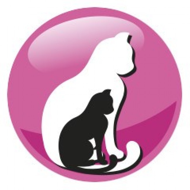 PREVITAL Junior Chicken - dry cat food - 950g PREVITAL Junior Chicken - dry cat food - 950g