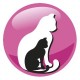 PREVITAL Junior Chicken - dry cat food - 950g PREVITAL Junior Chicken - dry cat food - 950g