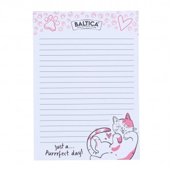 BALTICA Notebook