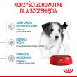 ROYAL CANIN Puppy Mini - dry dog food - 8 kg ROYAL CANIN Puppy Mini - dry dog food - 8 kg