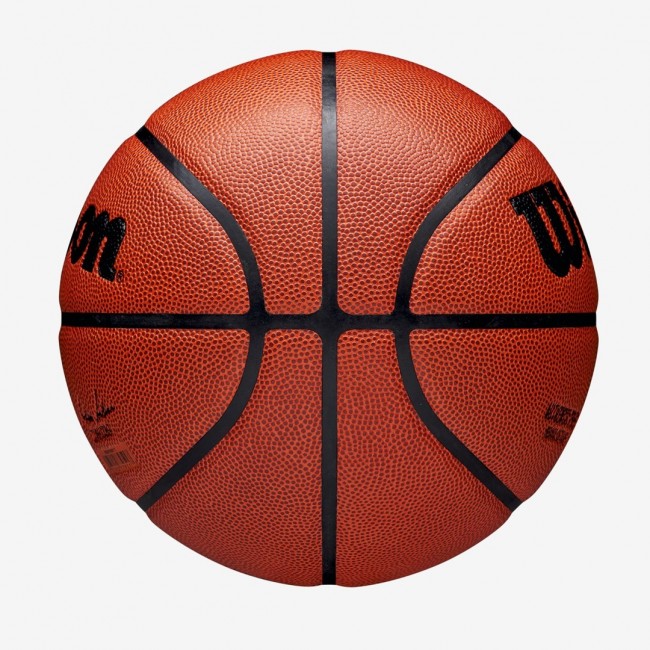Wilson NBA Authentic Indoor & outdoor Brown