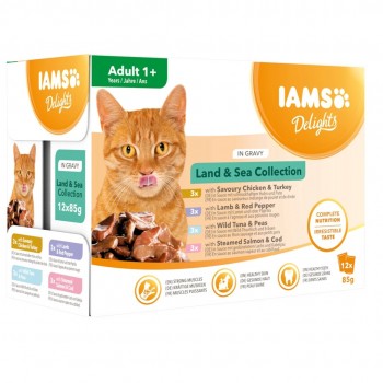 IAMS DELIGHTS Land & Sea Collection in Gravy box wet cat food 12x85g