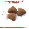Royal Canin FHN Indoor - dry food for adult cats - 4kg