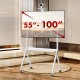 Maclean TV stand / cart, camera shelf, on casters, 55-100