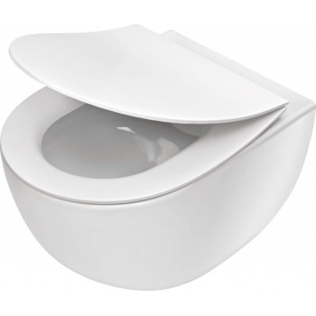 Rimless toilet