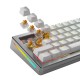 Glorious Gaming Glorious Panda HE Switches - 36 pieces Glorious Gaming Glorious Panda HE Switches - 36 pieces