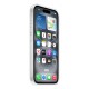 Apple iPhone 16 Clear Case with MagSafe