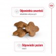 ROYAL CANIN Mini Adult +8 - dry dog food - 2 kg ROYAL CANIN Mini Adult +8 - dry dog food - 2 kg