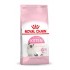 Royal Canin Kitten cats dry food 10 kg