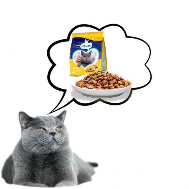 PREVITAL Adult Chicken dry cat food - 300g PREVITAL Adult Chicken dry cat food - 300g