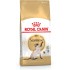 ROYAL CANIN Siamese Adult - dry cat food - 2 kg