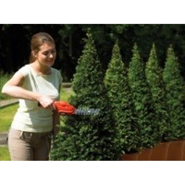 Black & Decker GSL300 power hedge trimmer Double blade 600 g Black & Decker GSL300 power hedge trimmer Double blade 600 g