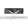 Neomounts DS70-250WH2 Monitor arm 17-32