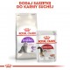 ROYAL CANIN Sensible 33 Adult - dry cat food - 400g ROYAL CANIN Sensible 33 Adult - dry cat food - 400g