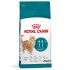 ROYAL CANIN Ageing 11+ - dry cat food - 400g ROYAL CANIN Ageing 11+ - dry cat food - 400g