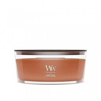 WoodWick Pumpkin Praline wax candle Ellipse Brown 1 pc(s)