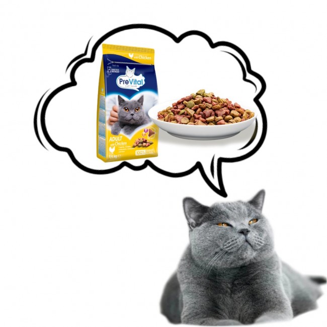PREVITAL Cat Food Adult with Chicken - Dry Cat Food - 1.4 kg PREVITAL Cat Food Adult with Chicken - Dry Cat Food - 1.4 kg