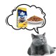 PREVITAL Cat Food Adult with Chicken - Dry Cat Food - 1.4 kg PREVITAL Cat Food Adult with Chicken - Dry Cat Food - 1.4 kg