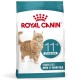 ROYAL CANIN Ageing 11+ Sterilised - dry cat food - 4kg ROYAL CANIN Ageing 11+ Sterilised - dry cat food - 4kg