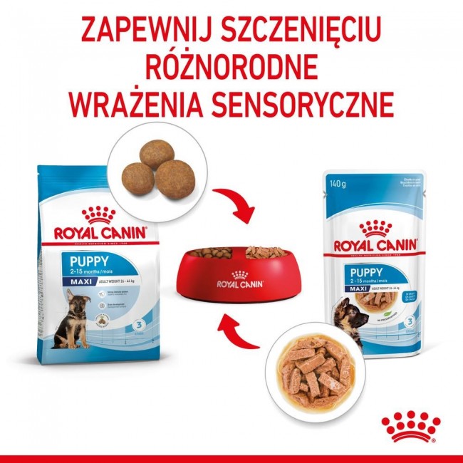 ROYAL CANIN Maxi Puppy SHN - wet dog food - 10x140g ROYAL CANIN Maxi Puppy SHN - wet dog food - 10x140g
