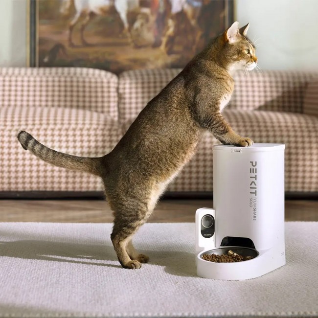 Petkit Automatic feeder YumShare Solo with camera Petkit Automatic feeder YumShare Solo with camera