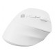 NATEC Crake 2 mouse Universal Right-hand RF Wireless + Bluetooth Optical 2400 DPI NATEC Crake 2 mouse Universal Right-hand RF Wireless + Bluetooth Optical 2400 DPI