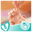 Pampers Sensitive Baby Wipes 15 Packs 1200 Wipes