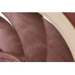 Noctua NF A12x25 ULN Computer case Fan 12 cm Beige, Red Noctua NF A12x25 ULN Computer case Fan 12 cm Beige, Red