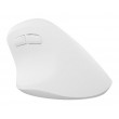 NATEC Crake 2 mouse Universal Right-hand RF Wireless + Bluetooth Optical 2400 DPI NATEC Crake 2 mouse Universal Right-hand RF Wireless + Bluetooth Optical 2400 DPI