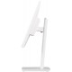 iiyama 24 IPS technology panel with 150mm height adjustable stand and 100Hz refresh rate