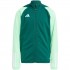 adidas Tiro 23 Competition Training Sweatshirt for kids green HU1314