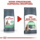 ROYAL CANIN Digestive Care Adult - dry cat food - 400g ROYAL CANIN Digestive Care Adult - dry cat food - 400g