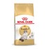 Royal Canin FBN Ragdoll Adult dry cat food 2 kg