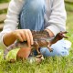 schleich Dinosaurs Spinosaurus
