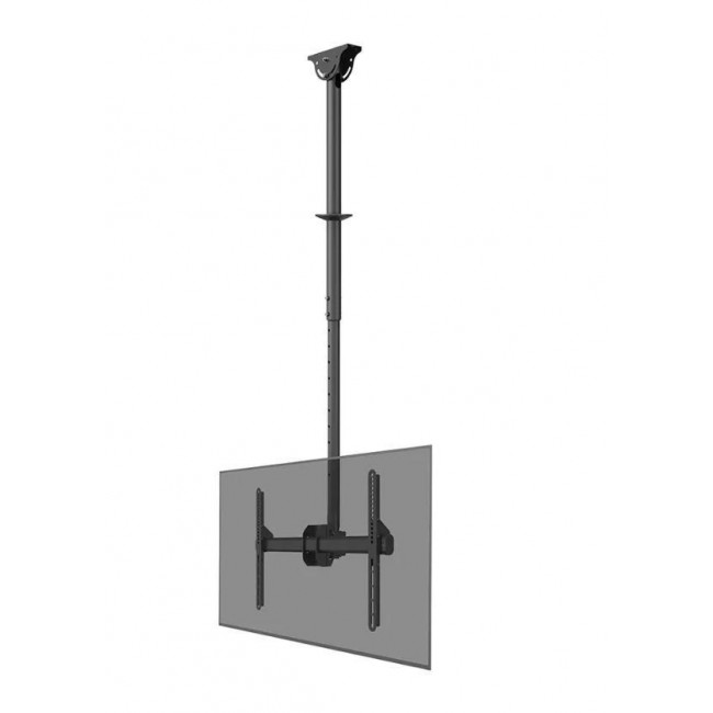 Neomounts CL35-440BL16L Monitor/TV mount ceiling 37-70