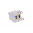 Alantec MKN-U5-1 wire connector RJ45 White Alantec MKN-U5-1 wire connector RJ45 White