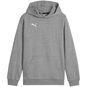 Puma Team Goal Casuals Hoddy Sweatshirt Grey 658619 33 140cm