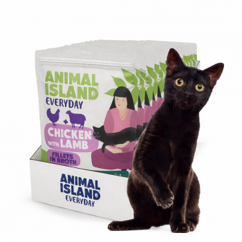 ANIMAL ISLAND Chicken with lamb Fillets in broth - wet cat food - 12x85g