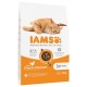 IAMS Advanced Nutrition Adult - dry cat food - 10 kg IAMS Advanced Nutrition Adult - dry cat food - 10 kg