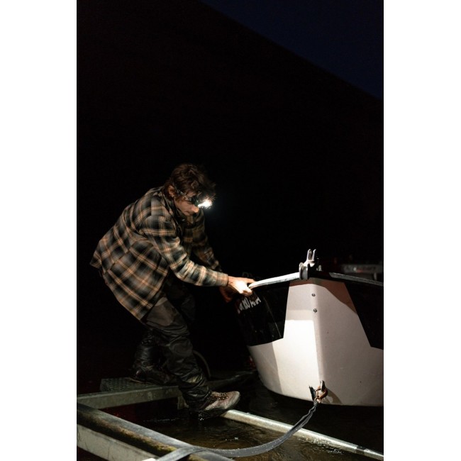 Ledlenser 503089 flashlight Multicolour Headband flashlight LED Ledlenser 503089 flashlight Multicolour Headband flashlight LED